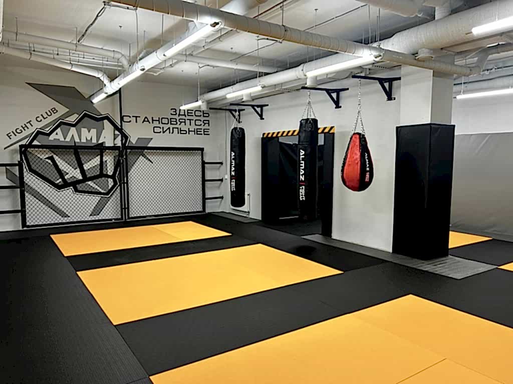 mma-na-parnase ММА на Парнасе