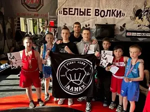 Бокс: Успехи бойцов клуба «Алмаз» на открытом ринге